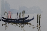 micheldepin - 2014 Venise