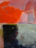 2009 - 2009 2010 2011